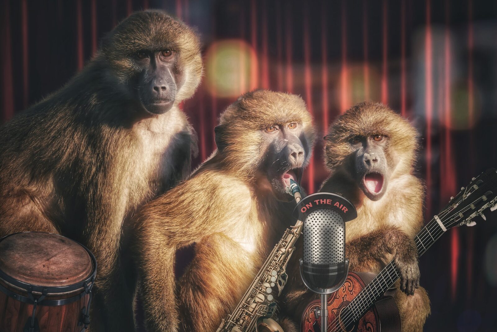 3 monkeys playing musical instruments