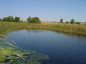 Photograph of a blue pond in a field of grass